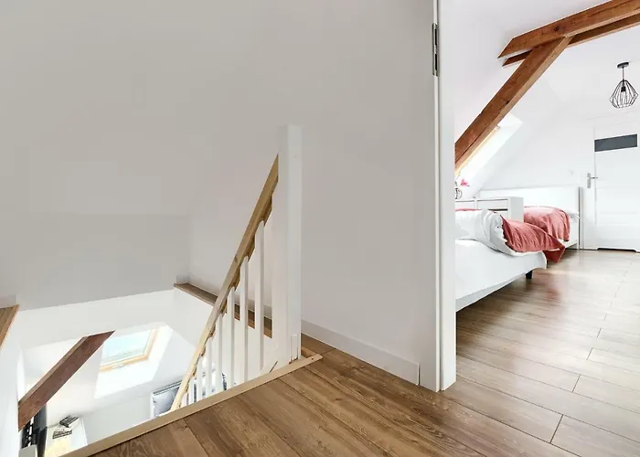 333 - No.1 * Estetino