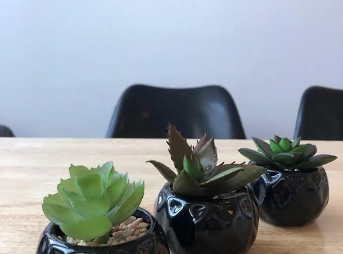 333 - No.1 * Estetino